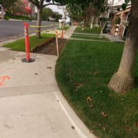 sidewalk replacement